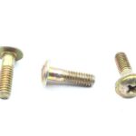 Screw