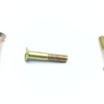 Screw